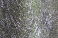 Islibhig fibreglass roof work